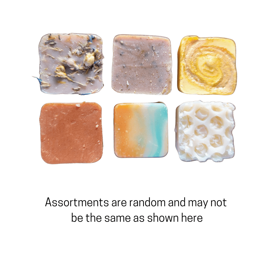 Wholesale Assorted Personal Sized Soaps with Bag (6)