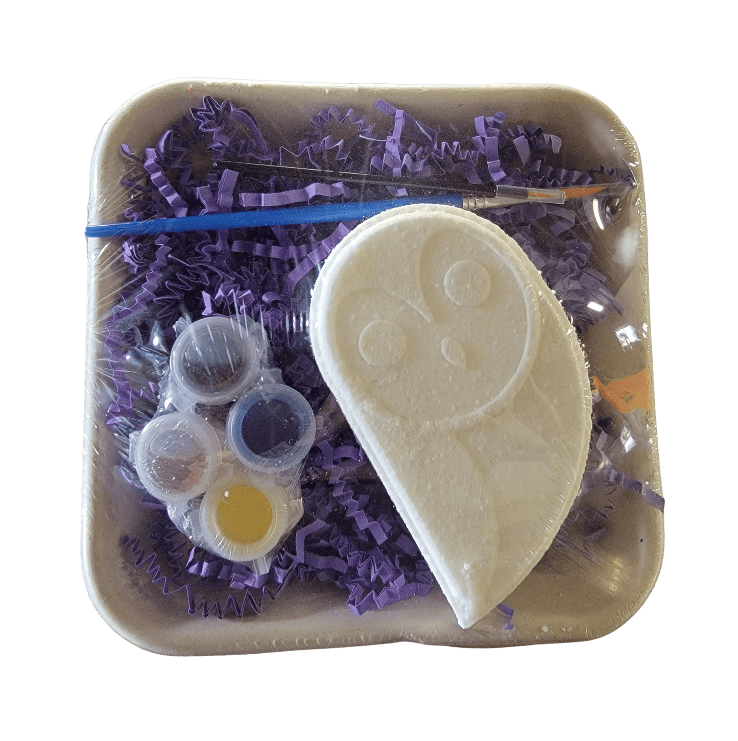 Paint Your Own Bath Bomb Soak Owl